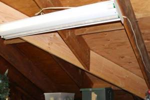 Fractured hip rafter replaced