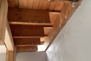 Existing joists shored and tailored at bedroom to accommodate new beam install at location # 5