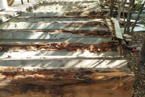 Lower rear balcony joists @ 3 & 4 Kamalii ( 7 plans ) with severe wood decay - 2016